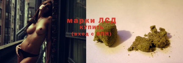 стаф Майский