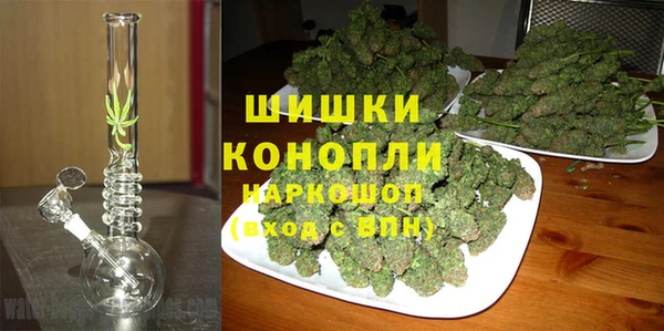 стаф Майский