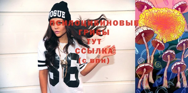 стаф Майский