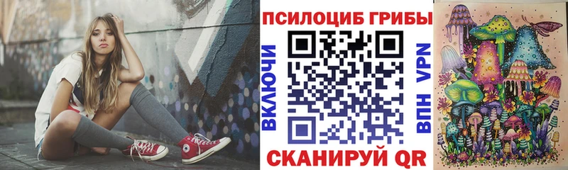 Купить  Неман  Псилоцибиновые грибы Psilocybe 
